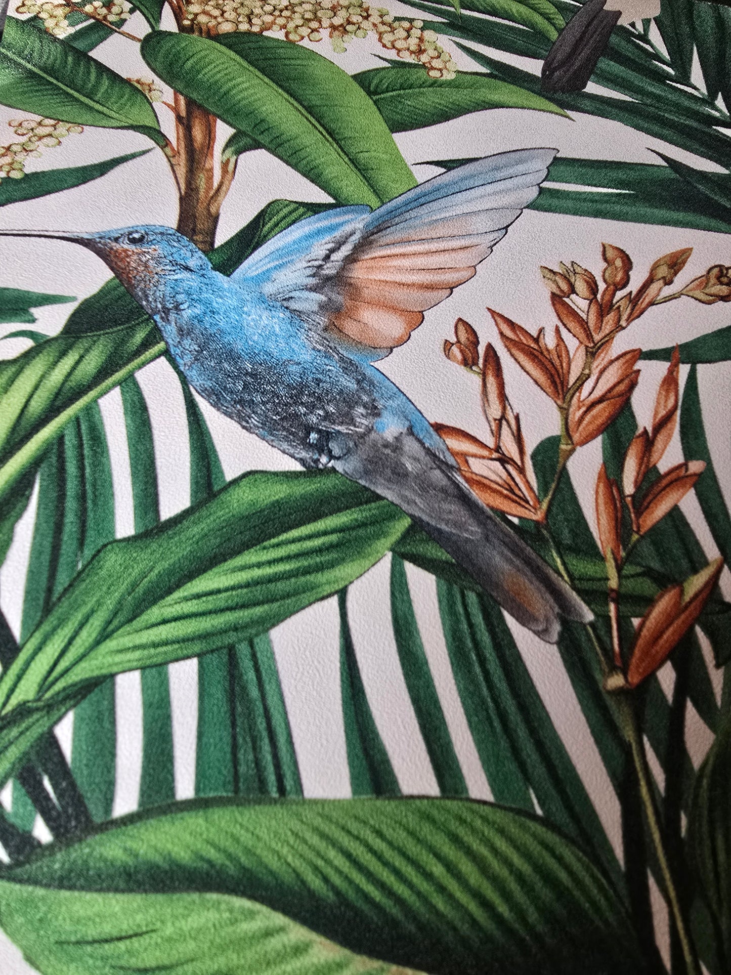 Paradisio 2 Tropical Toucan & Butterfly Wallpaper (10121-07)