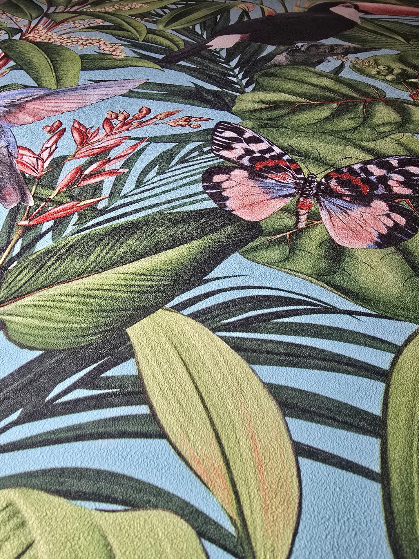 Paradisio 2 Tropical Blue Toucan & Butterfly Wallpaper (10121-18)