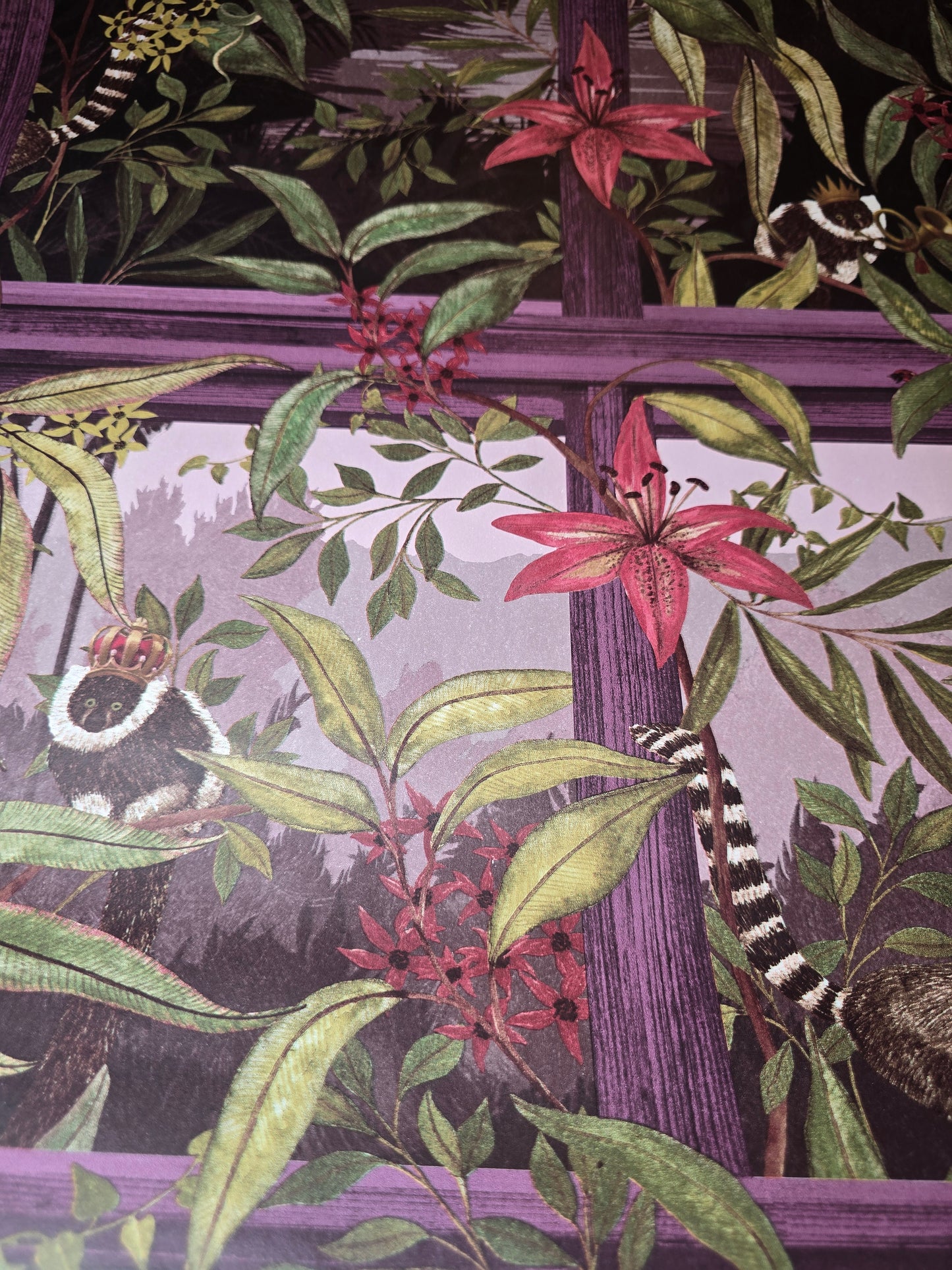 Comoro Plum Jungle Lemur Feature Wallpaper (91393)